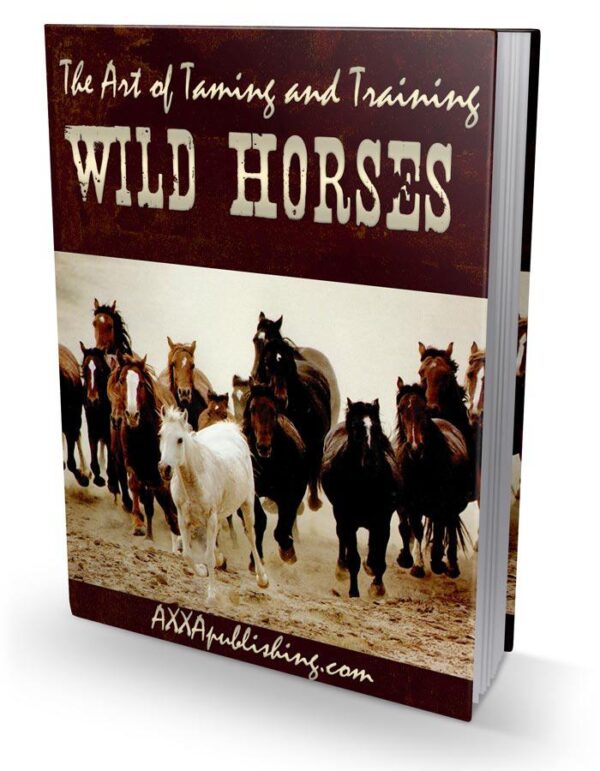 The Art of Taming and  Training Wild Horses