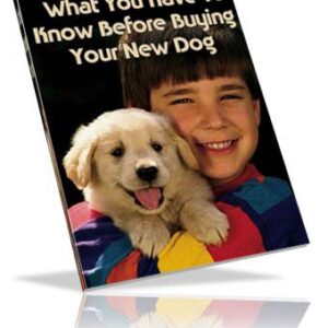 What You Have To Know Before Buying Your New Dog