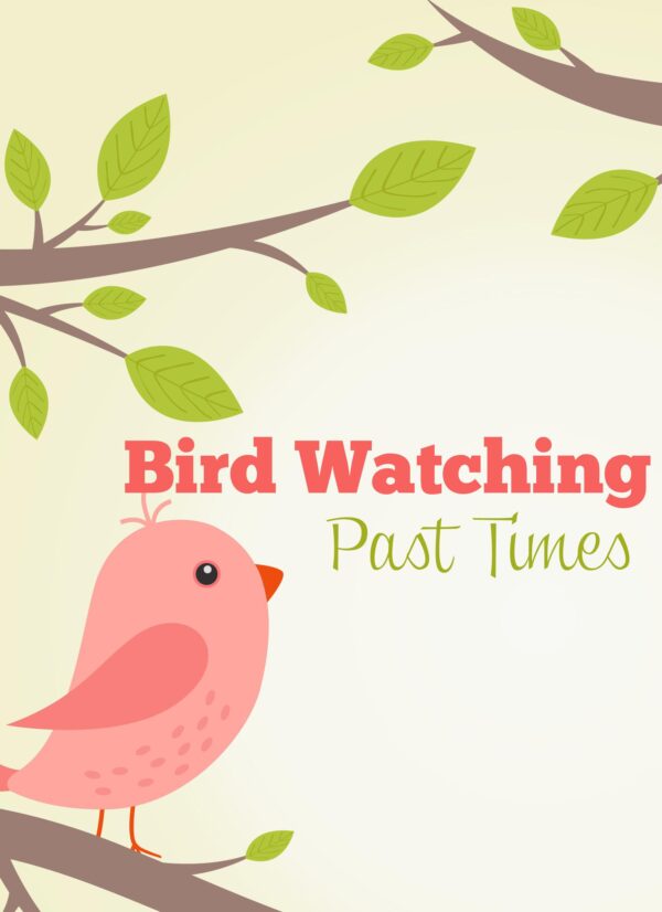 Bird Watching Past Times