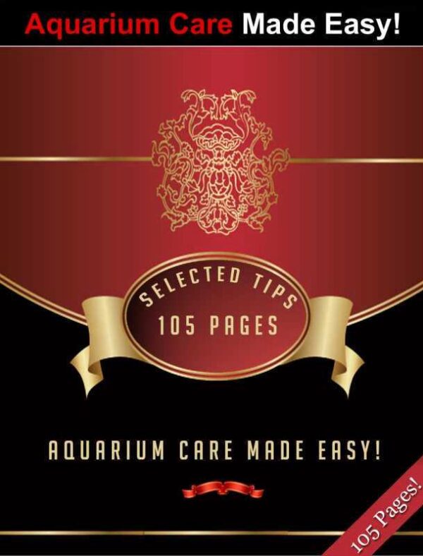 Aquarium Care Made Easy Selected Tips