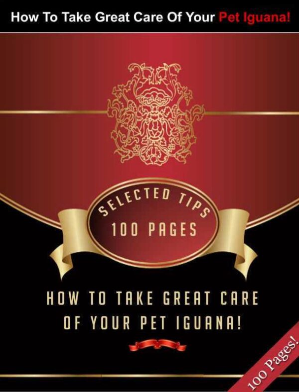 Take Great Care Of Your Pet Iguana With These Selected Tips